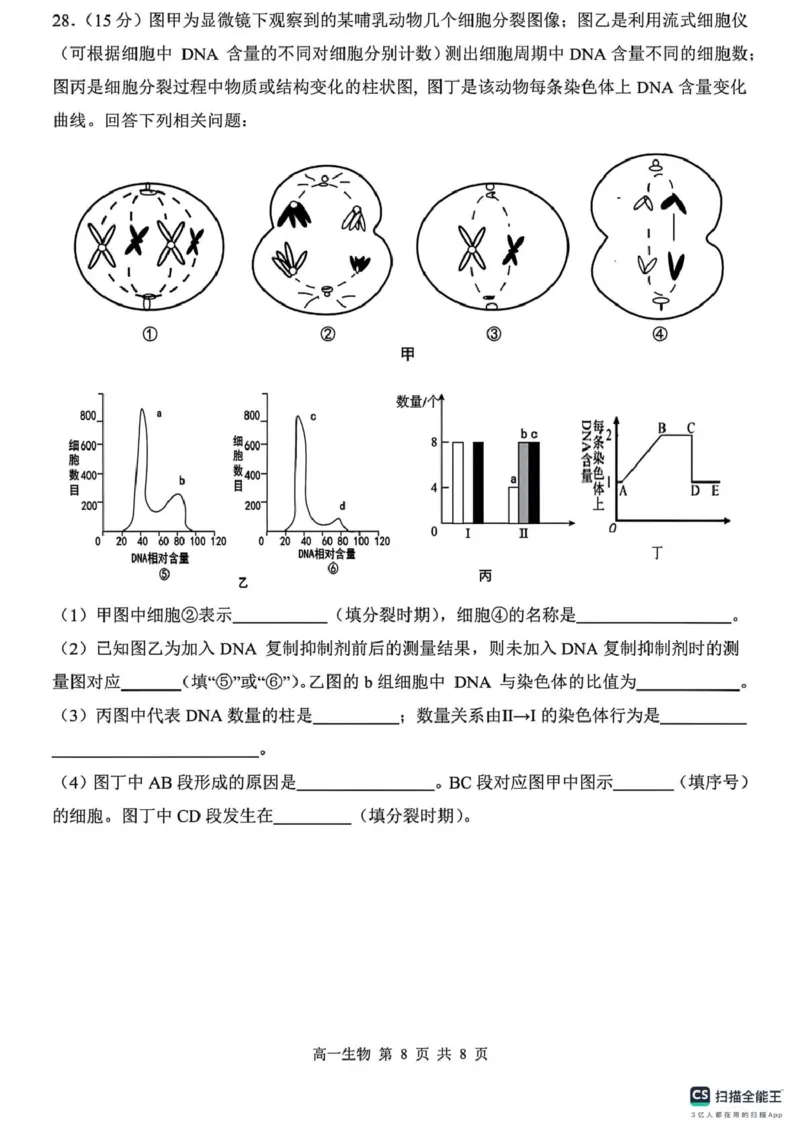 山东省菏泽市鄄城县第一中学2024-2025学年高一下学期3月月考生物试题（PDF版，含解析）_2024-2025高一（7-7月题库）_2025年03月试卷