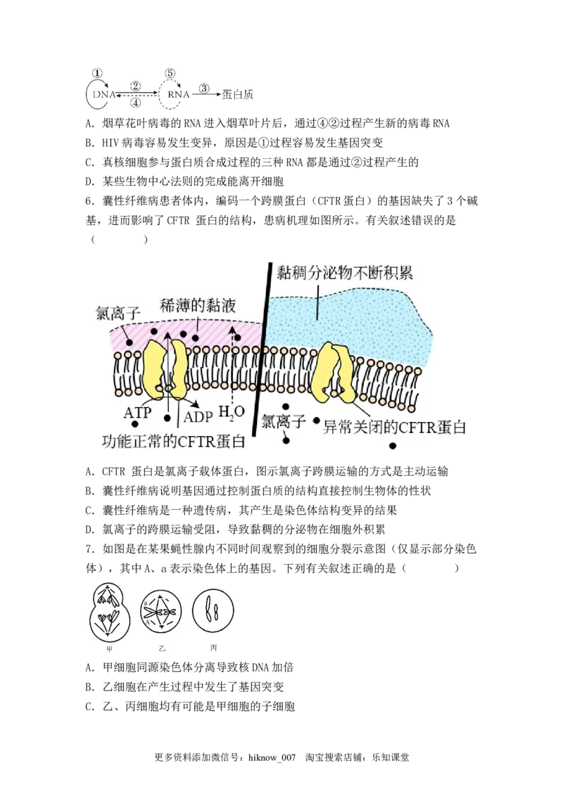 5.1基因突变及其他变异（原卷版）_E015高中全科试卷_生物试题_必修2_2.同步练习_2、课后培优练2023_5.1+基因突变及其他变异-2022-2023学年高一生物课后培优分级练（人教版2019必修2）