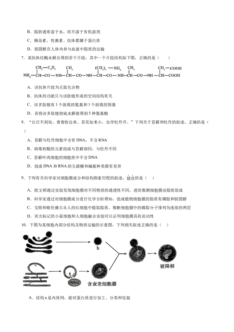 山西省吕梁市三金联盟2025-2026学年高一上学期第二次联合考试（12月）生物试卷（含答案）_2024-2025高一（7-7月题库）_2026年1月高一