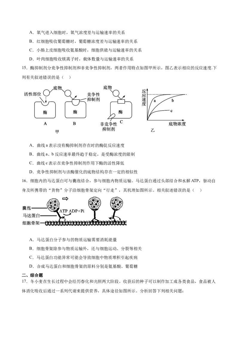 山西省吕梁市三金联盟2025-2026学年高一上学期第二次联合考试（12月）生物试卷（含答案）_2024-2025高一（7-7月题库）_2026年1月高一