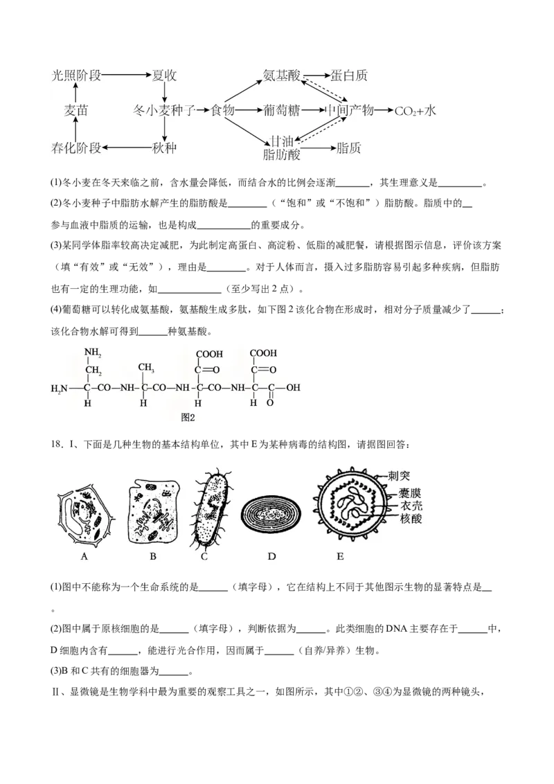 山西省吕梁市三金联盟2025-2026学年高一上学期第二次联合考试（12月）生物试卷（含答案）_2024-2025高一（7-7月题库）_2026年1月高一