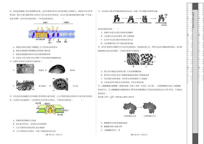 期末模拟卷02（考试版A3版）测试范围：人教版2019必修1_E015高中全科试卷_生物试题_必修1_4.期末试卷_高一生物期末模拟卷02（人教版2019）2023-2024学年高中生物上学期期末模拟考试