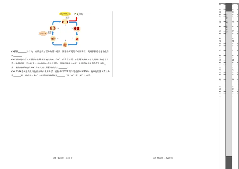 期末模拟卷02（考试版A3版）测试范围：人教版2019必修1_E015高中全科试卷_生物试题_必修1_4.期末试卷_高一生物期末模拟卷02（人教版2019）2023-2024学年高中生物上学期期末模拟考试