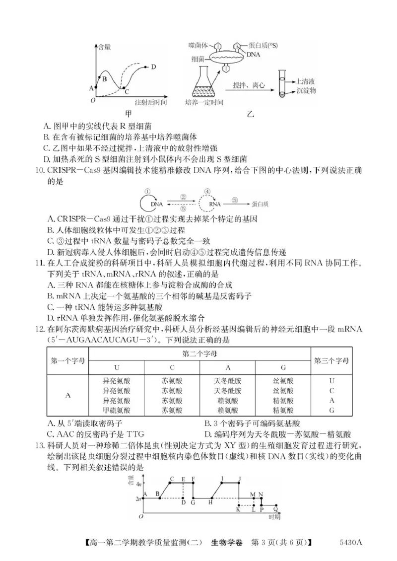 广东省八校联盟2024-2025学年高一下学期教学质量监测（二）生物PDF版含解析_2024-2025高一（7-7月题库）_2025年6月7.10新增_0606广东省八校联盟2024-2025学年高一下学期教学质量监测（二）