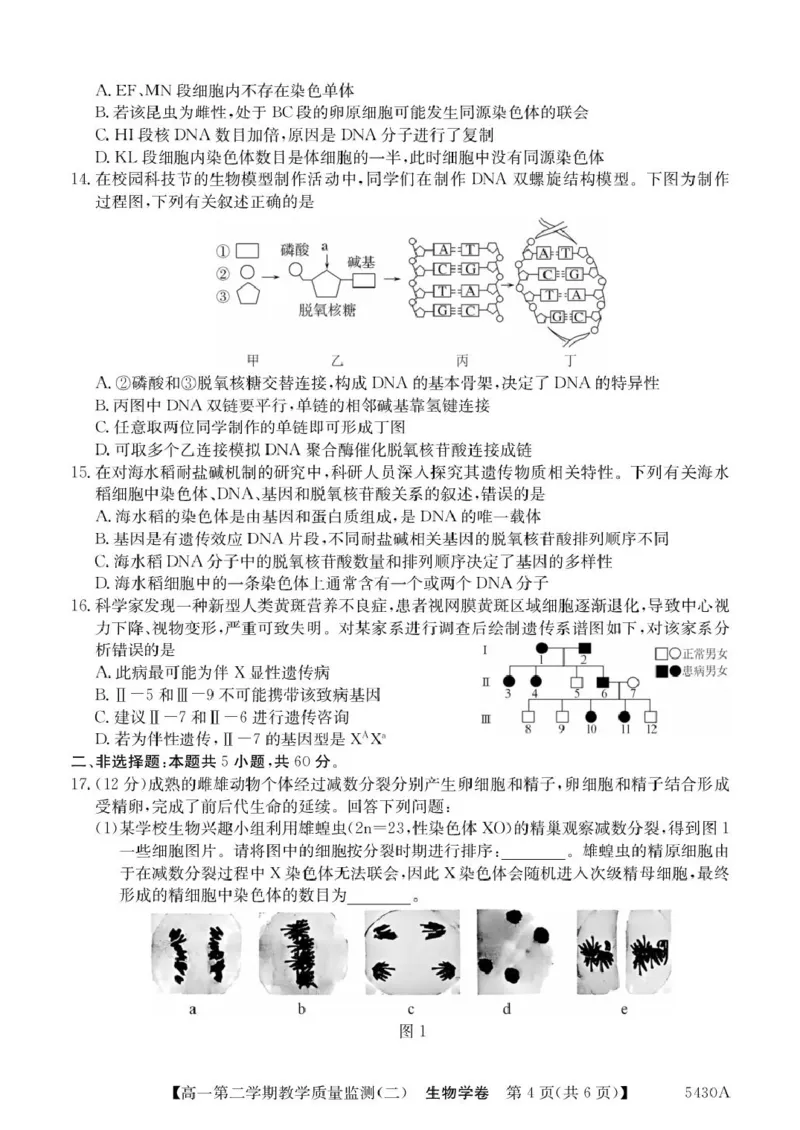 广东省八校联盟2024-2025学年高一下学期教学质量监测（二）生物PDF版含解析_2024-2025高一（7-7月题库）_2025年6月7.10新增_0606广东省八校联盟2024-2025学年高一下学期教学质量监测（二）