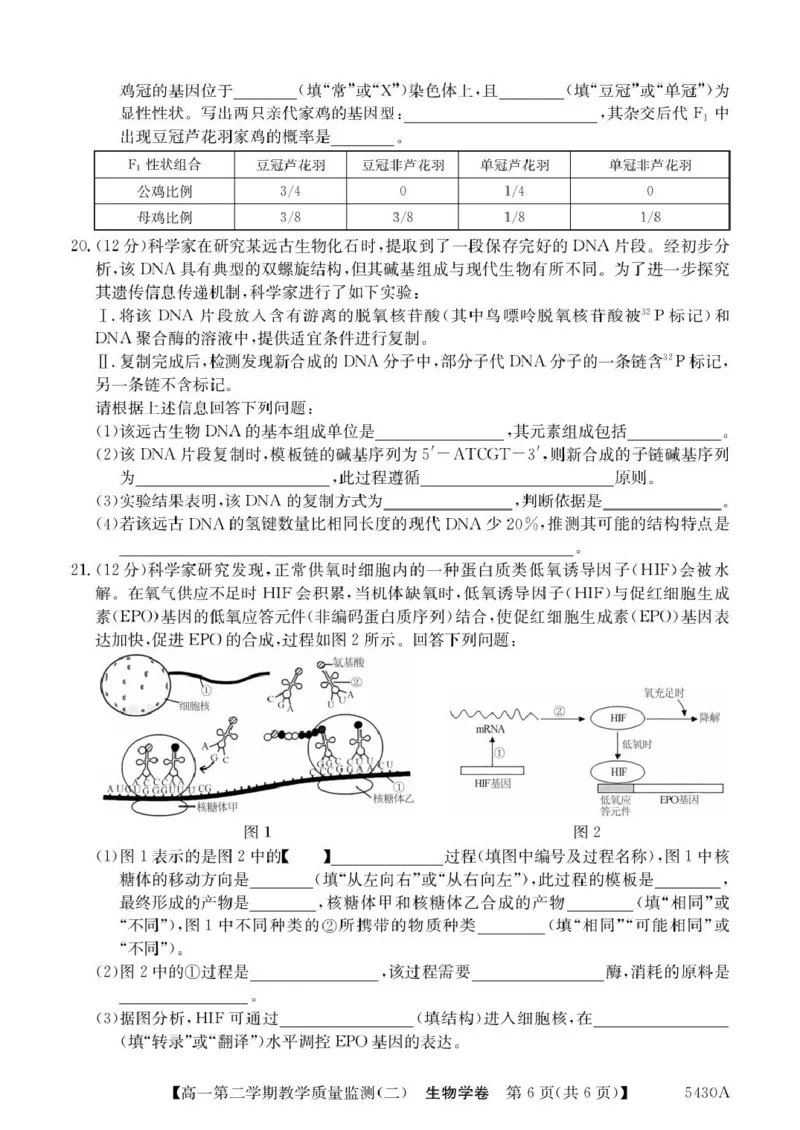 广东省八校联盟2024-2025学年高一下学期教学质量监测（二）生物PDF版含解析_2024-2025高一（7-7月题库）_2025年6月7.10新增_0606广东省八校联盟2024-2025学年高一下学期教学质量监测（二）