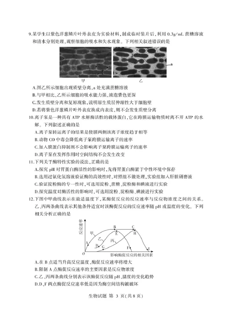 山东省临沂市2024-2025学年高一上学期1月期末考试生物PDF版含答案_2024-2025高一（7-7月题库）_2025年03月试卷_0302山东省临沂市2024-2025学年高一上学期1月期末考试