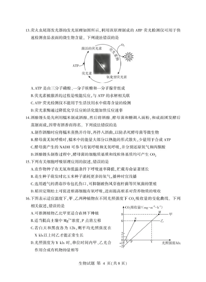 山东省临沂市2024-2025学年高一上学期1月期末考试生物PDF版含答案_2024-2025高一（7-7月题库）_2025年03月试卷_0302山东省临沂市2024-2025学年高一上学期1月期末考试