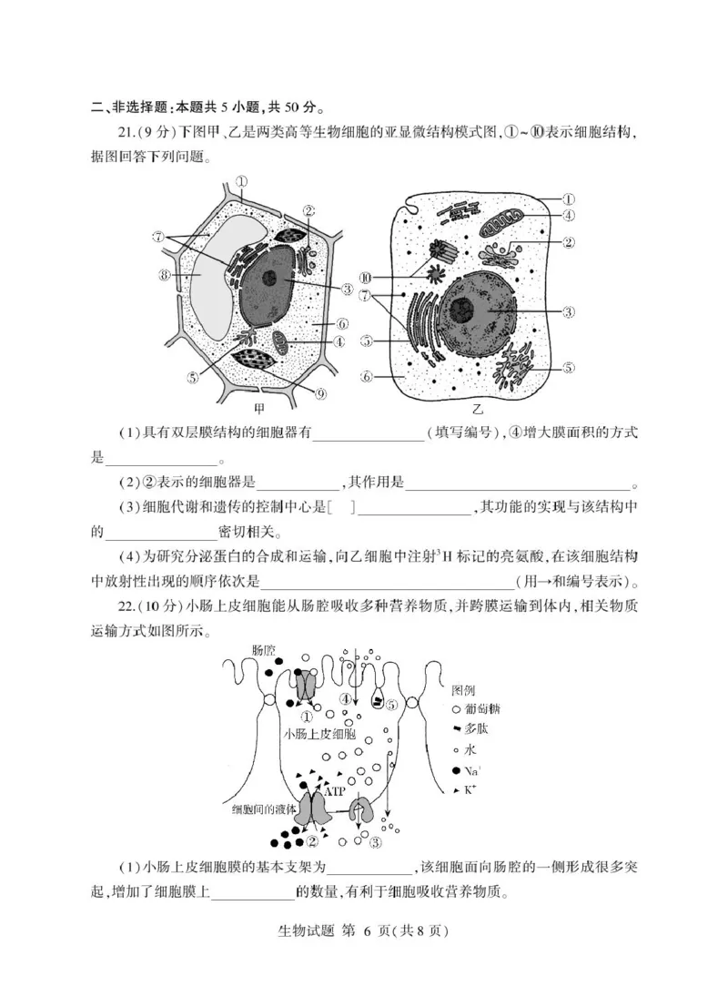 山东省临沂市2024-2025学年高一上学期1月期末考试生物PDF版含答案_2024-2025高一（7-7月题库）_2025年03月试卷_0302山东省临沂市2024-2025学年高一上学期1月期末考试