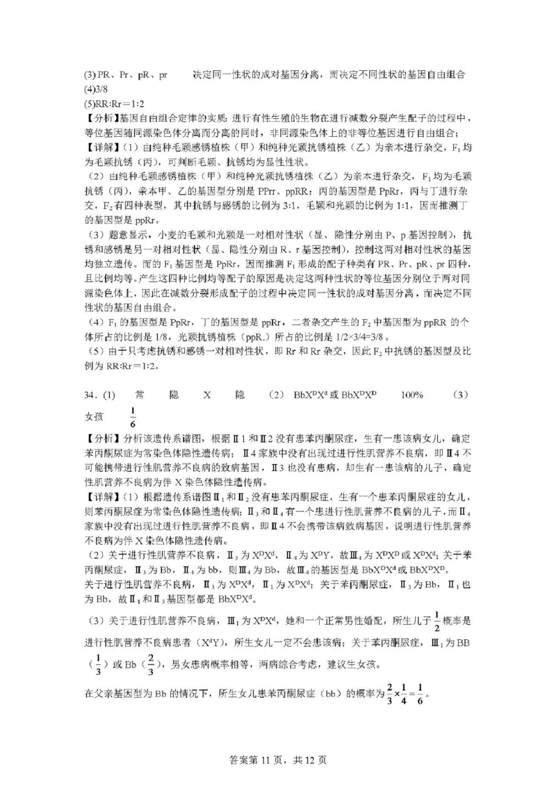 云南省丽江市古城区第一中学2024-2025学年高一下学期月考(一)生物试题（PDF版，含答案）_2024-2025高一（7-7月题库）_2025年04月试卷