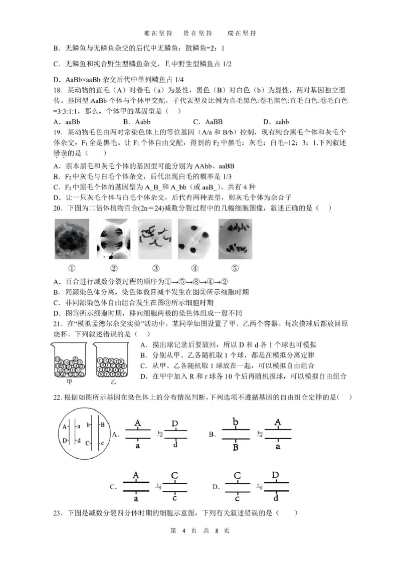 云南省丽江市古城区第一中学2024-2025学年高一下学期月考(一)生物试题（PDF版，含答案）_2024-2025高一（7-7月题库）_2025年04月试卷