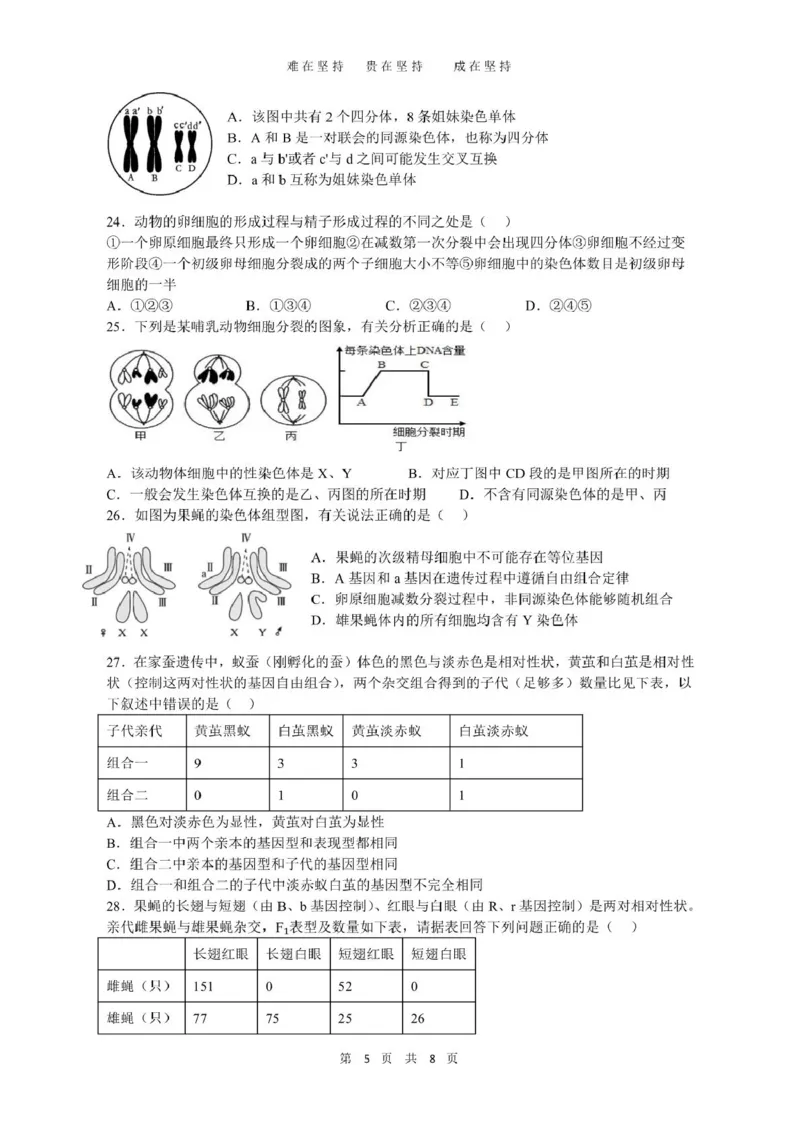 云南省丽江市古城区第一中学2024-2025学年高一下学期月考(一)生物试题（PDF版，含答案）_2024-2025高一（7-7月题库）_2025年04月试卷