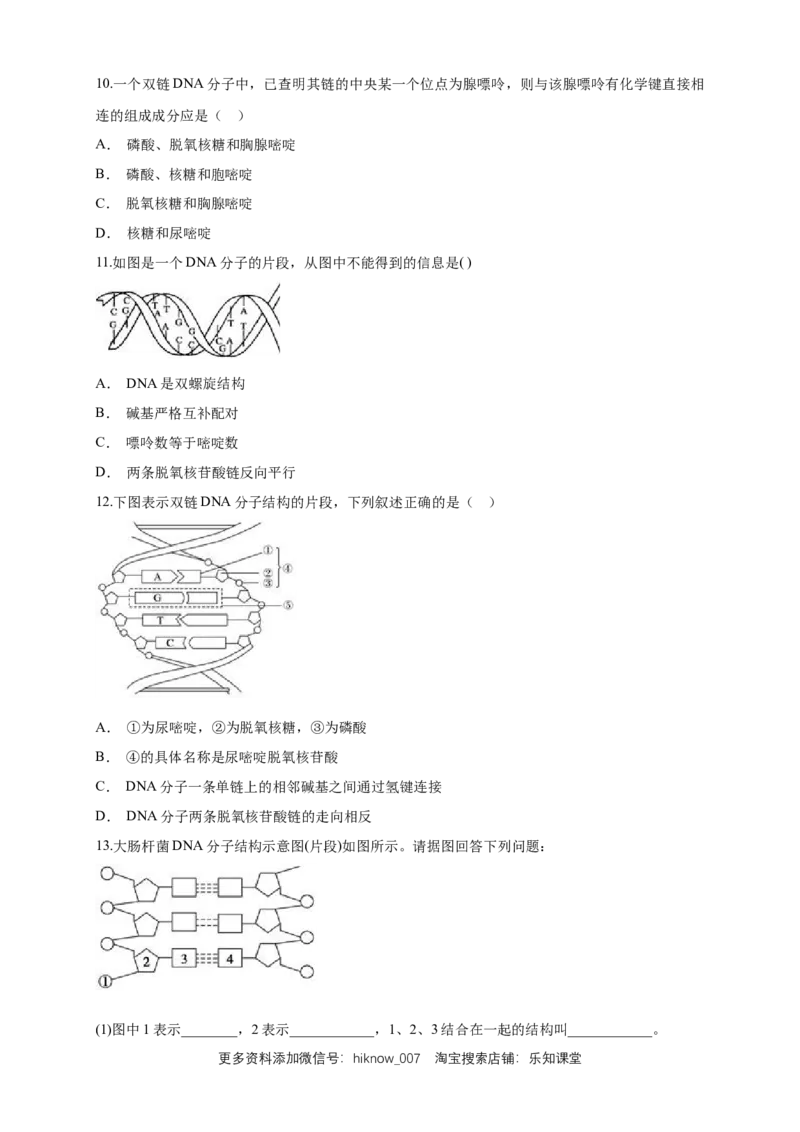 新教材精创3.2DNA的结构练习（1）（原卷版）_E015高中全科试卷_生物试题_必修2_2.同步练习_1、同步练习_新教材精创3.2DNA的结构练习（1）-人教版高中生物必修2遗传与进化