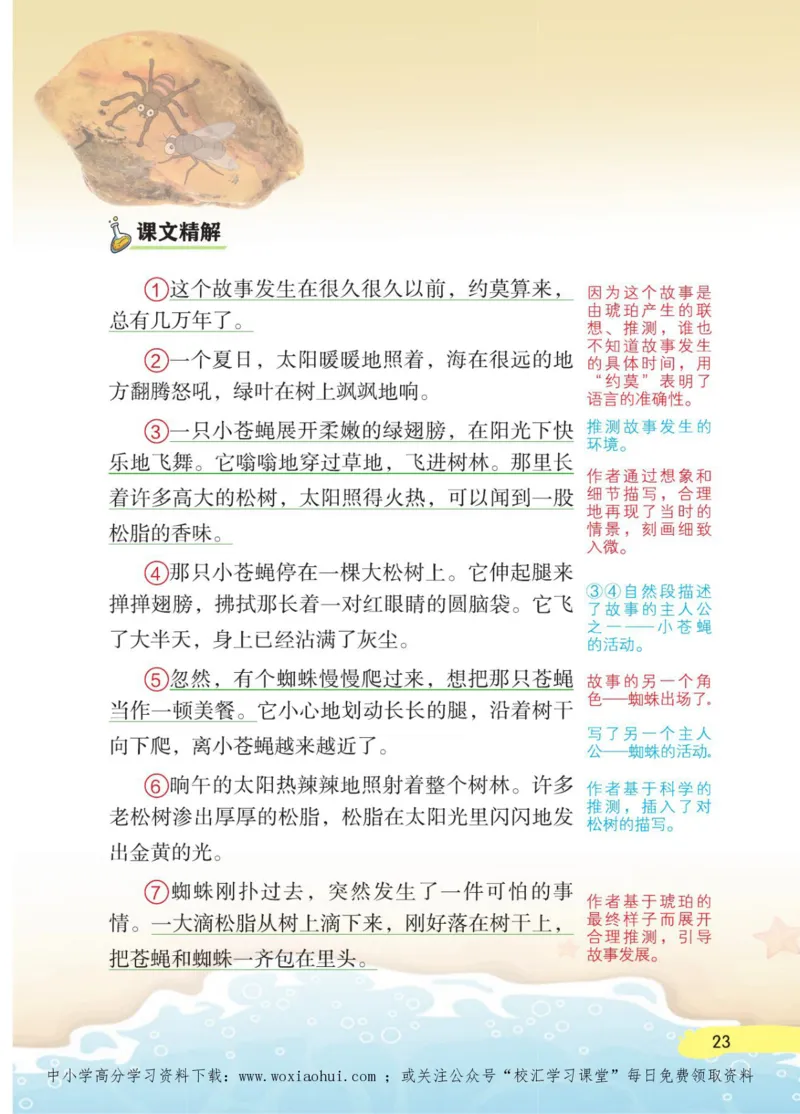 23年新版四年级下册语文小学生创新学习课堂笔记_小学1-6年级全部试卷_语文_四年级_3-9-2、小学四年级语文下册_3-9-2-1、复习、知识点、归纳汇总