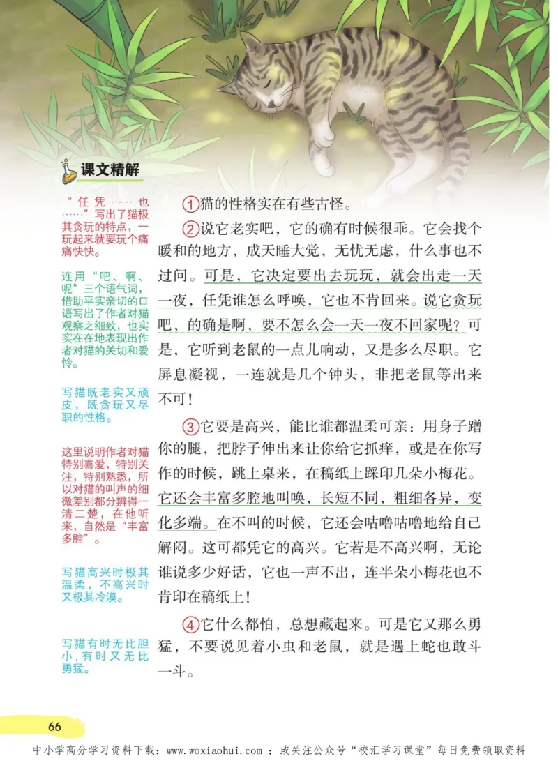 23年新版四年级下册语文小学生创新学习课堂笔记_小学1-6年级全部试卷_语文_四年级_3-9-2、小学四年级语文下册_3-9-2-1、复习、知识点、归纳汇总