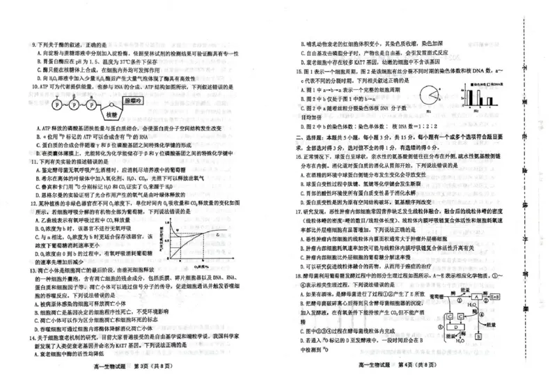 山东省潍坊市2024-2025学年高一上学期期末考试生物PDF版含答案_2024-2025高一（7-7月题库）_2025年02月试卷_0218山东省潍坊市2024-2025学年高一上学期期末考试