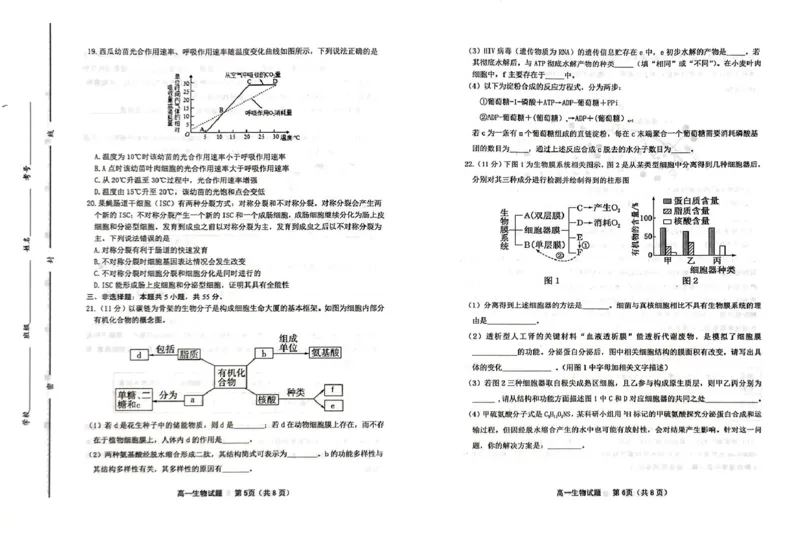 山东省潍坊市2024-2025学年高一上学期期末考试生物PDF版含答案_2024-2025高一（7-7月题库）_2025年02月试卷_0218山东省潍坊市2024-2025学年高一上学期期末考试