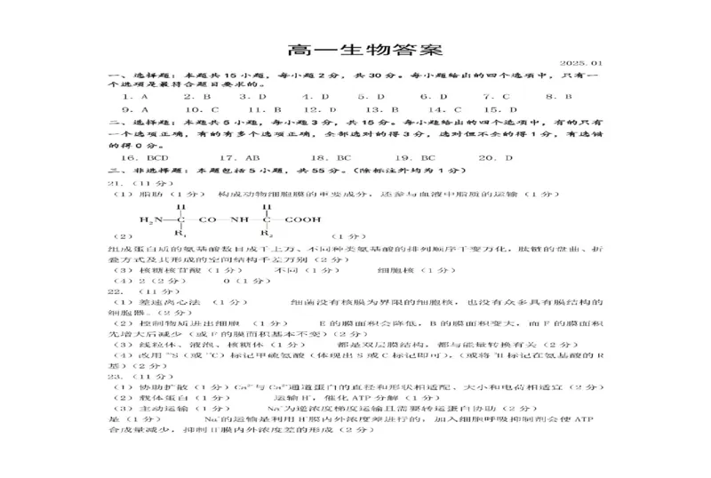 山东省潍坊市2024-2025学年高一上学期期末考试生物PDF版含答案_2024-2025高一（7-7月题库）_2025年02月试卷_0218山东省潍坊市2024-2025学年高一上学期期末考试