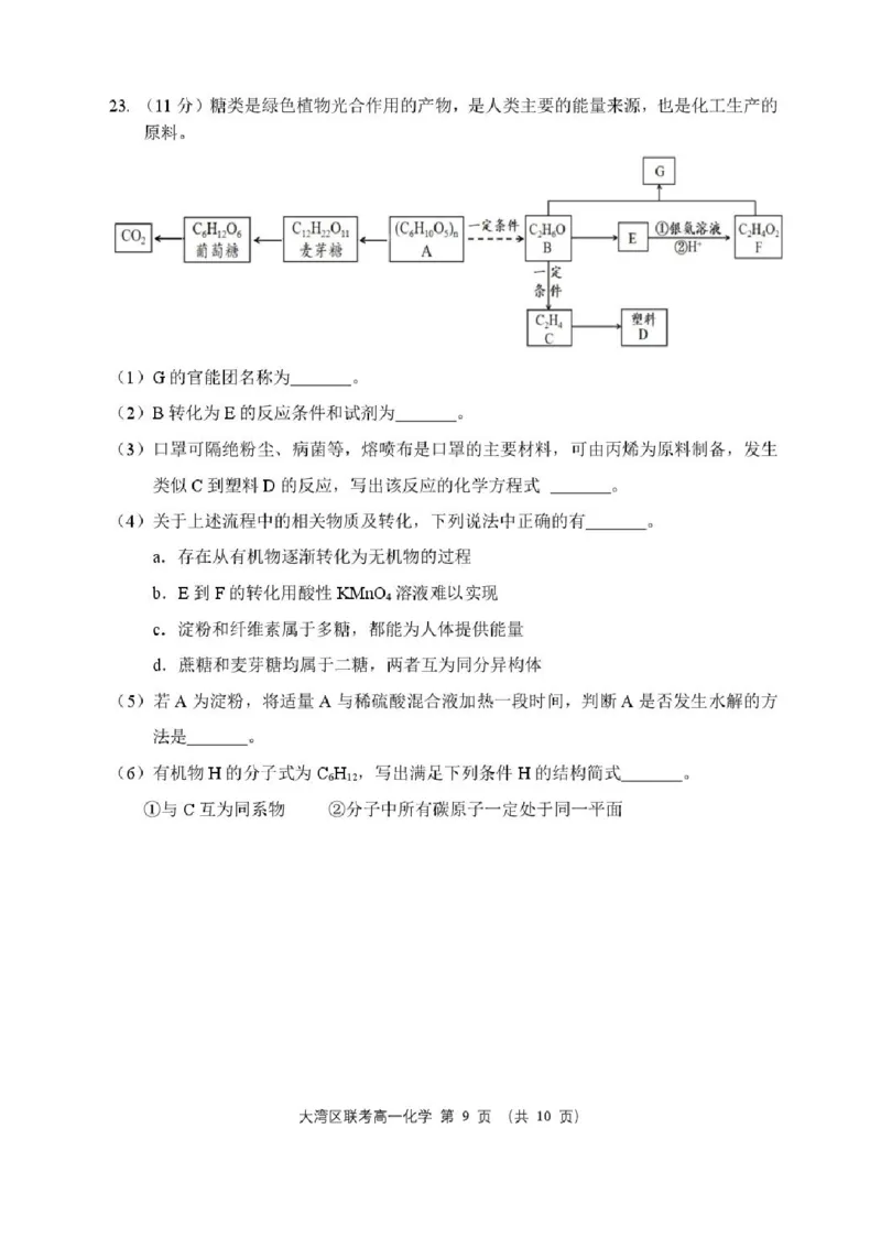 广东省大湾区2024-2025学年高一下学期期末统一测试-化学试卷_2024-2025高一（7-7月题库）_2025年7月_250711广东省大湾区2024-2025学年高一下学期期末统一测试