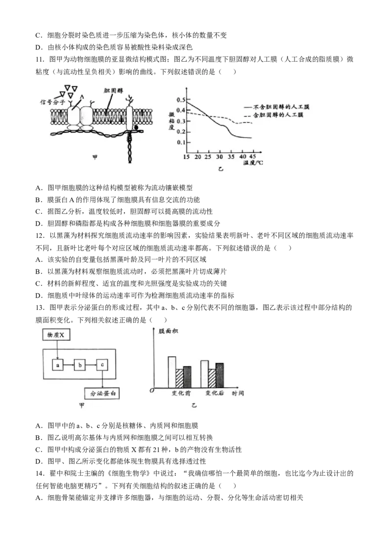 安徽省宿州市省、市示范高中2024-2025学年高一上学期11月期中考试生物试题（含答案）_2024-2025高一（7-7月题库）_2024年11月试卷