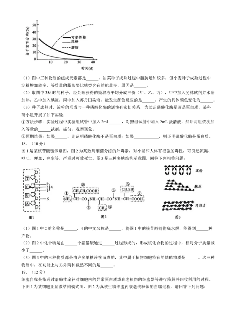 安徽省宿州市省、市示范高中2024-2025学年高一上学期11月期中考试生物试题（含答案）_2024-2025高一（7-7月题库）_2024年11月试卷