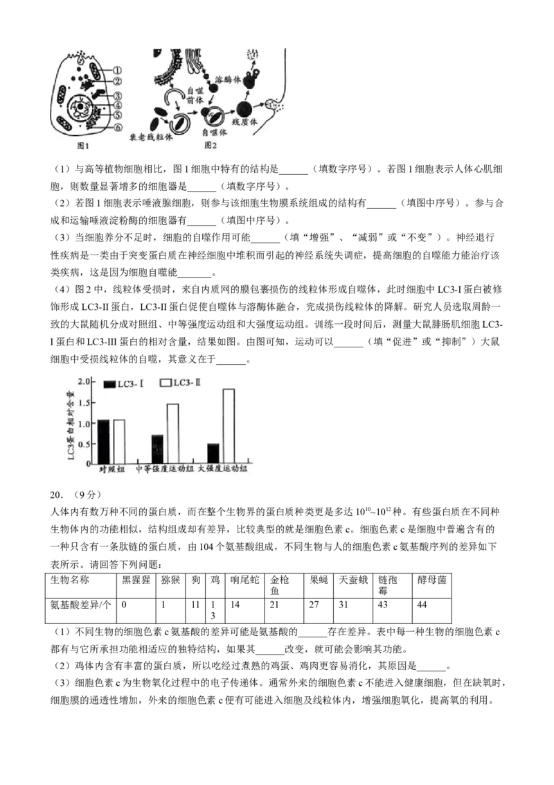安徽省宿州市省、市示范高中2024-2025学年高一上学期11月期中考试生物试题（含答案）_2024-2025高一（7-7月题库）_2024年11月试卷
