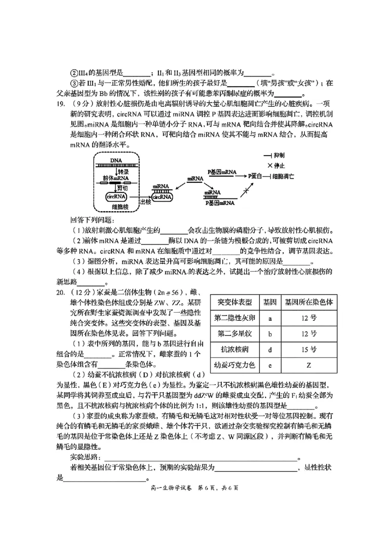 四川省资阳市2024-2025学年高一下学期期末质量监测生物试题含答案_2024-2025高一（7-7月题库）_2025年7月_250710四川省资阳市2024-2025学年高一下学期期末质量监测