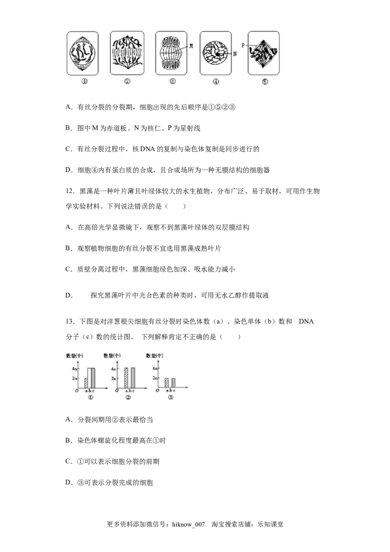 6.1细胞的增殖练习新教材人教版（2019）高中生物必修一_E015高中全科试卷_生物试题_必修1_2.同步练习_4.同步练习（第四套）