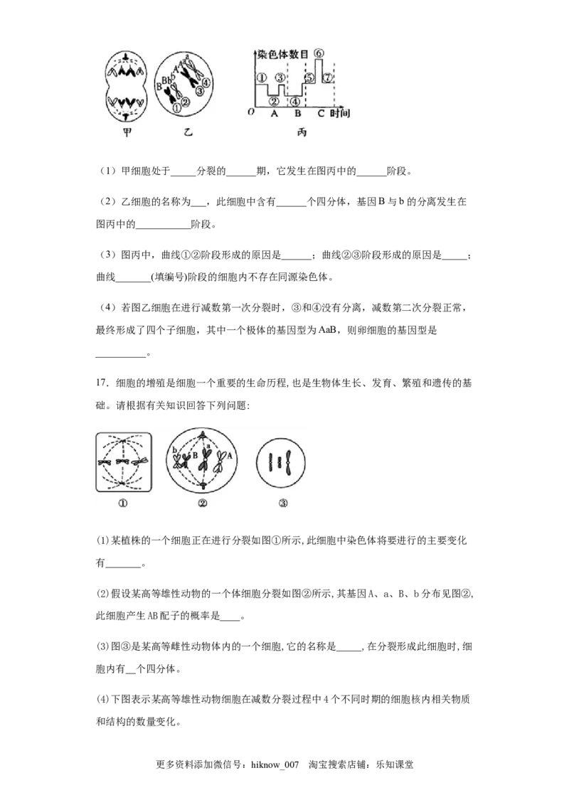 6.1细胞的增殖练习新教材人教版（2019）高中生物必修一_E015高中全科试卷_生物试题_必修1_2.同步练习_4.同步练习（第四套）