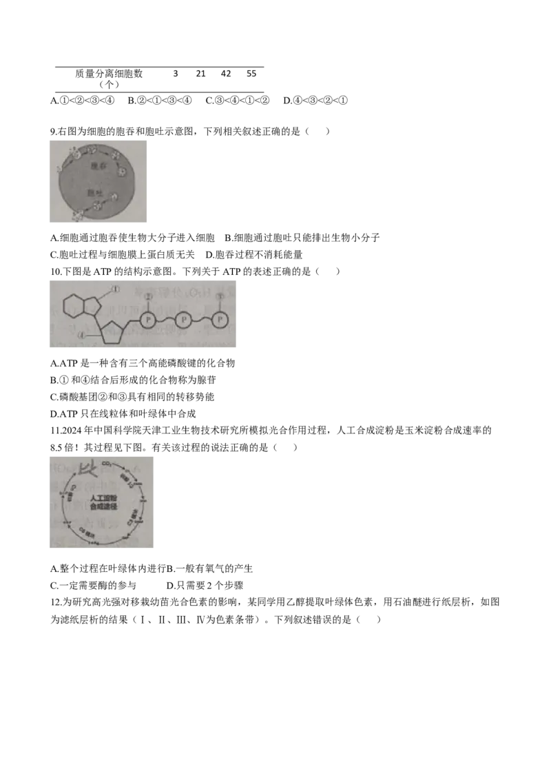 天津市部分区2024-2025学年高一上学期期末练习试题生物（含答案）_2024-2025高一（7-7月题库）_2025年01月试卷_0116天津市部分区2024-2025学年高一上学期期末练习试题