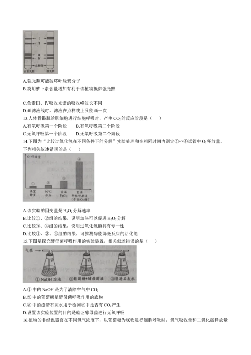 天津市部分区2024-2025学年高一上学期期末练习试题生物（含答案）_2024-2025高一（7-7月题库）_2025年01月试卷_0116天津市部分区2024-2025学年高一上学期期末练习试题