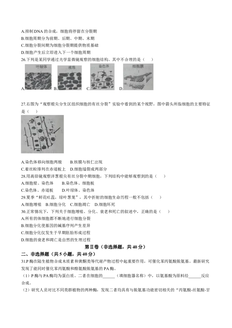 天津市部分区2024-2025学年高一上学期期末练习试题生物（含答案）_2024-2025高一（7-7月题库）_2025年01月试卷_0116天津市部分区2024-2025学年高一上学期期末练习试题