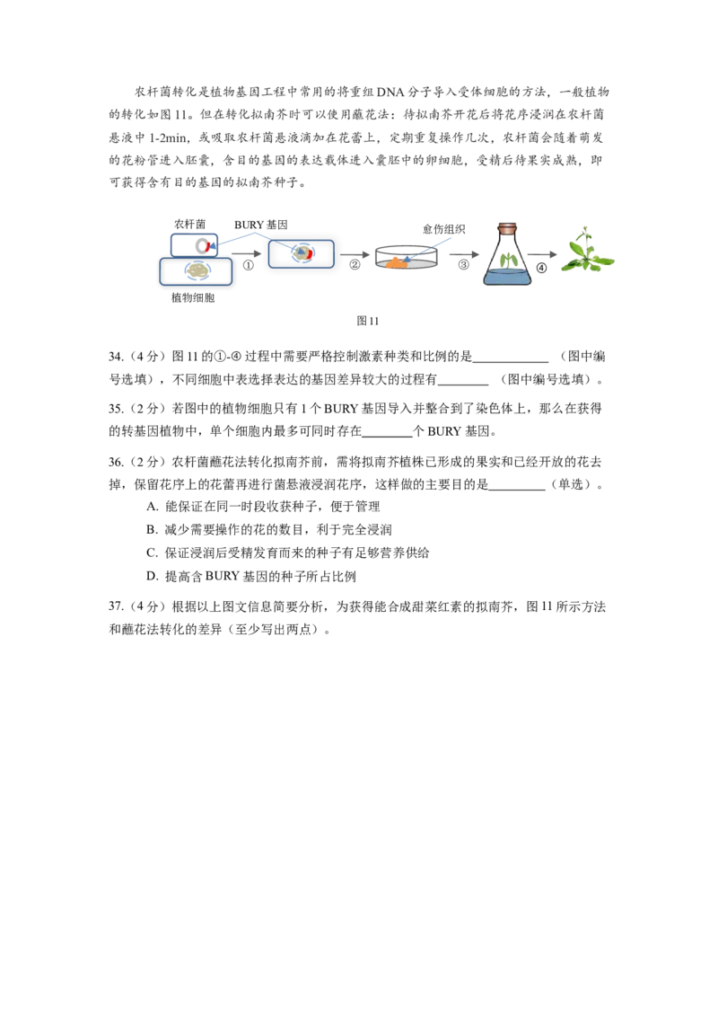 上海市宝山区2024届高三下学期二模试题生物Word版含答案(1)_2024年4月_024月合集_2024届上海市宝山区高三下学期二模试题