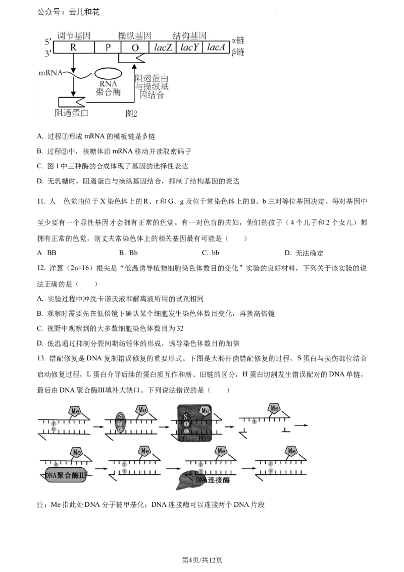 山东省潍坊市2023-2024学年高一下学期期末考试生物试题_2024-2025高一（7-7月题库）_2024年8月试卷_0811山东省潍坊市2023-2024学年高一下学期期末考试