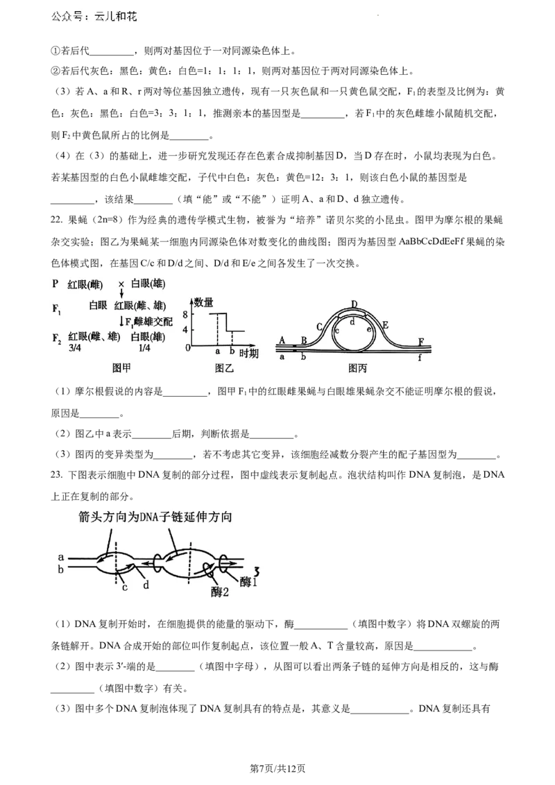 山东省潍坊市2023-2024学年高一下学期期末考试生物试题_2024-2025高一（7-7月题库）_2024年8月试卷_0811山东省潍坊市2023-2024学年高一下学期期末考试