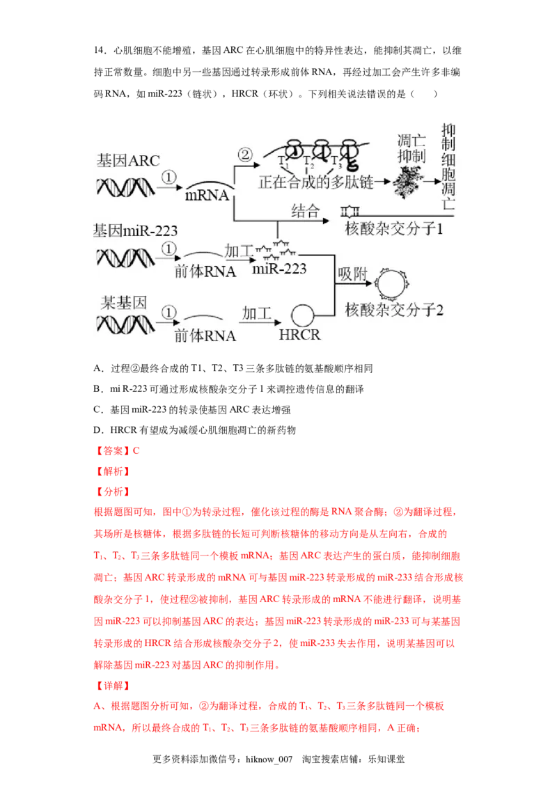 期末冲刺卷1-冲刺期末高一生物下学期期末拔高冲刺卷（2019人教版）（解析版）_E015高中全科试卷_生物试题_必修2_4.期末试卷
