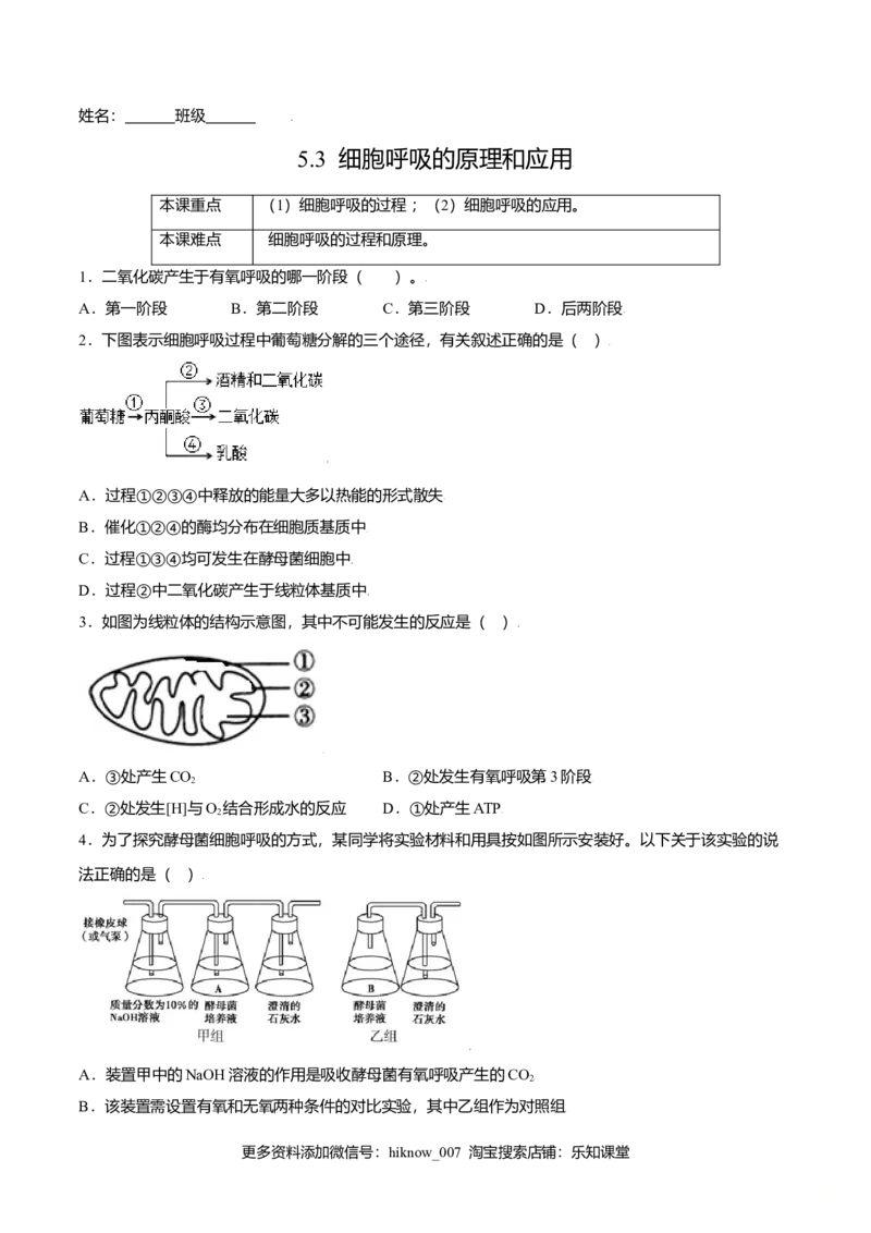 5.3细胞呼吸的原理和应用-高一生物课后培优练（人教版2019必修1）（原卷版）_E015高中全科试卷_生物试题_必修1_2.同步练习_3.同步练习（第三套）
