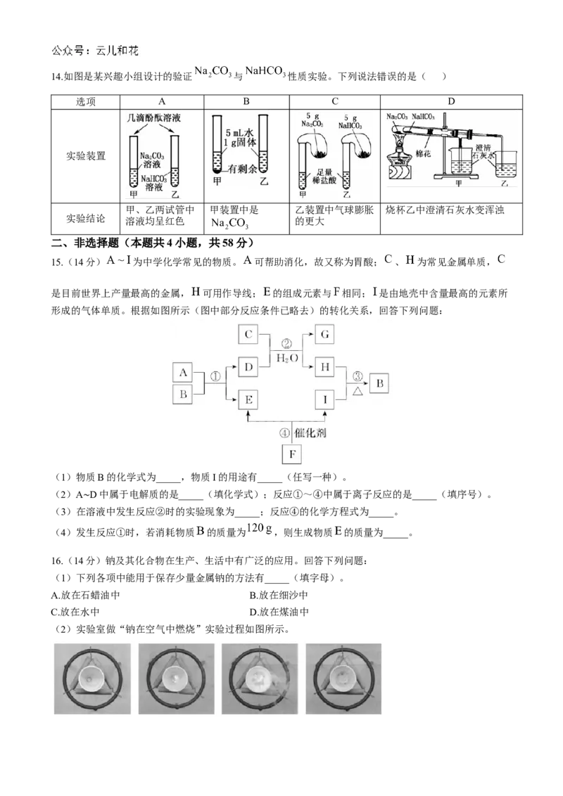 安徽省亳州市涡阳县2024-2025学年高一上学期11月期中（第二次月考）化学试题Word版含解析_2024-2025高一（7-7月题库）_2024年12月试卷