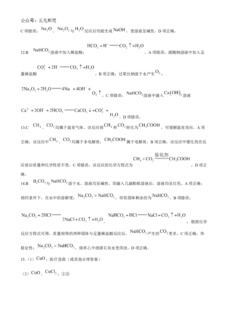 安徽省亳州市涡阳县2024-2025学年高一上学期11月期中（第二次月考）化学试题Word版含解析_2024-2025高一（7-7月题库）_2024年12月试卷