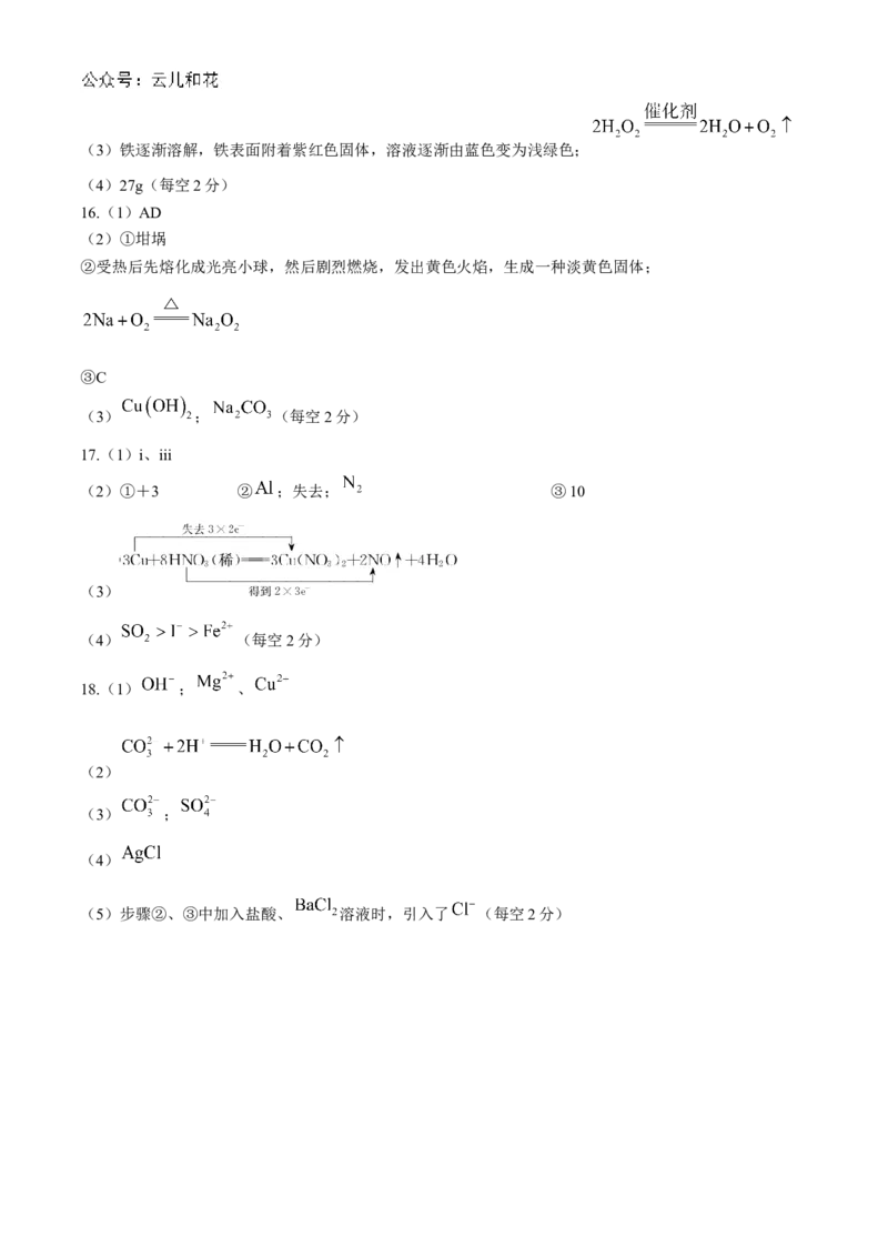 安徽省亳州市涡阳县2024-2025学年高一上学期11月期中（第二次月考）化学试题Word版含解析_2024-2025高一（7-7月题库）_2024年12月试卷