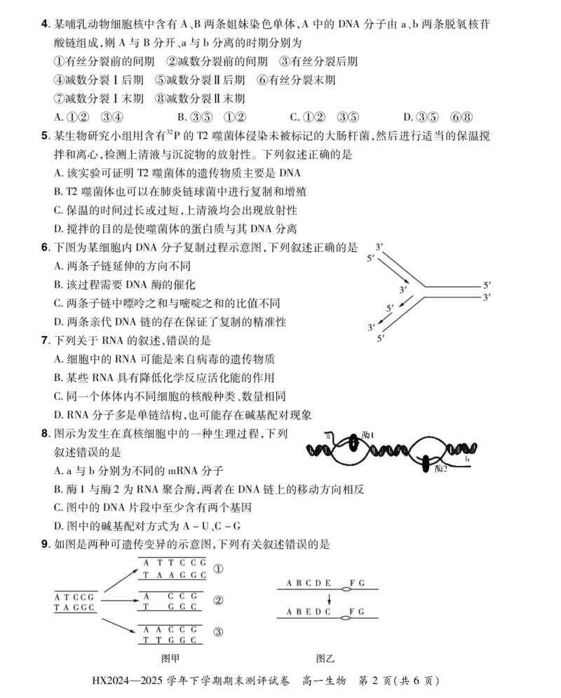 2024&mdash;2025学年下学期期末测评试卷生物_2024-2025高一（7-7月题库）_2025年7月_250717河南省安阳市滑县2024-2025学年高一下学期期末测评（全科）