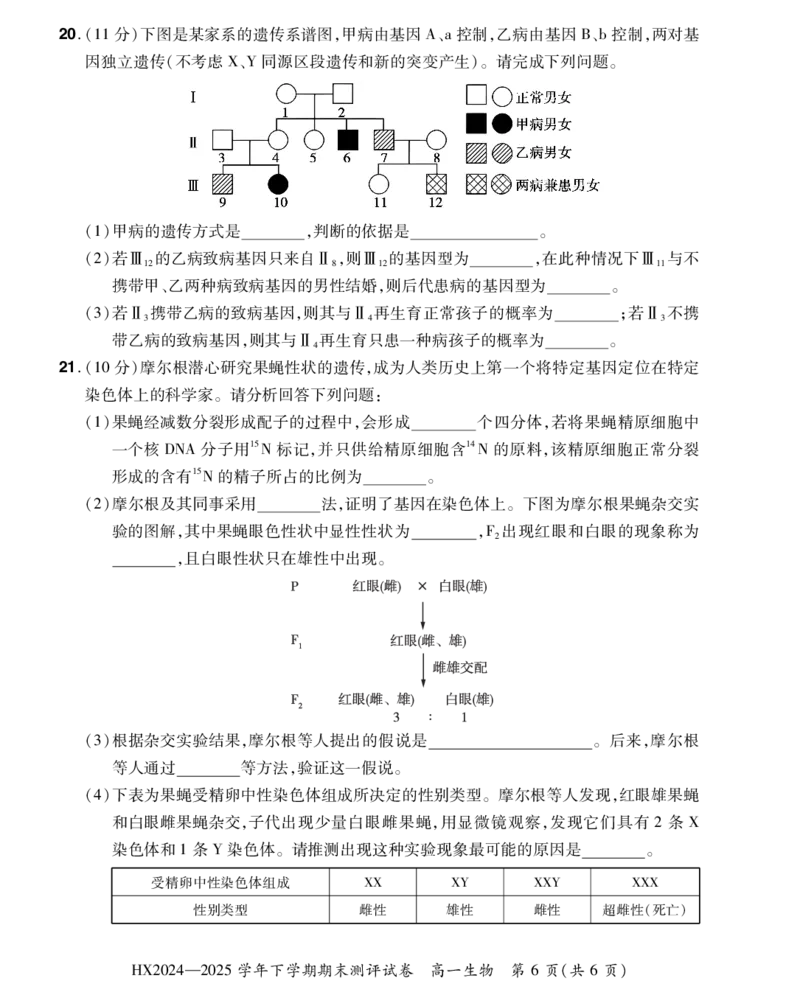 2024&mdash;2025学年下学期期末测评试卷生物_2024-2025高一（7-7月题库）_2025年7月_250717河南省安阳市滑县2024-2025学年高一下学期期末测评（全科）