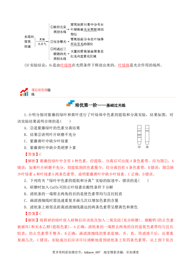 5.4.1捕获光能的色素和结构-2022-2023学年高一生物上学期课后培优分级练（2019人教版必修1）（解析版）_E015高中全科试卷_生物试题_必修1_2.同步练习_1.同步练习（第一套）