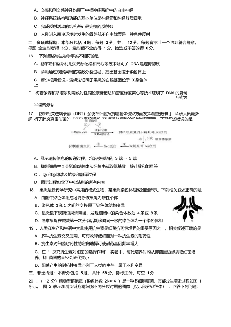 江苏省南京市六校联合体2024-2025学年高一下学期期末调研生物试卷（有答案）_2024-2025高一（7-7月题库）_2025年7月_250702江苏省南京市六校联合体2024-2025学年高一下学期6月期末考试