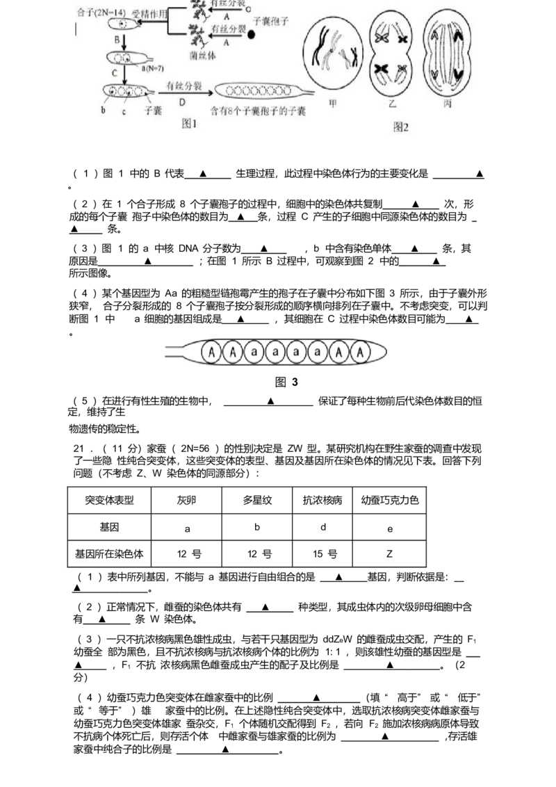 江苏省南京市六校联合体2024-2025学年高一下学期期末调研生物试卷（有答案）_2024-2025高一（7-7月题库）_2025年7月_250702江苏省南京市六校联合体2024-2025学年高一下学期6月期末考试