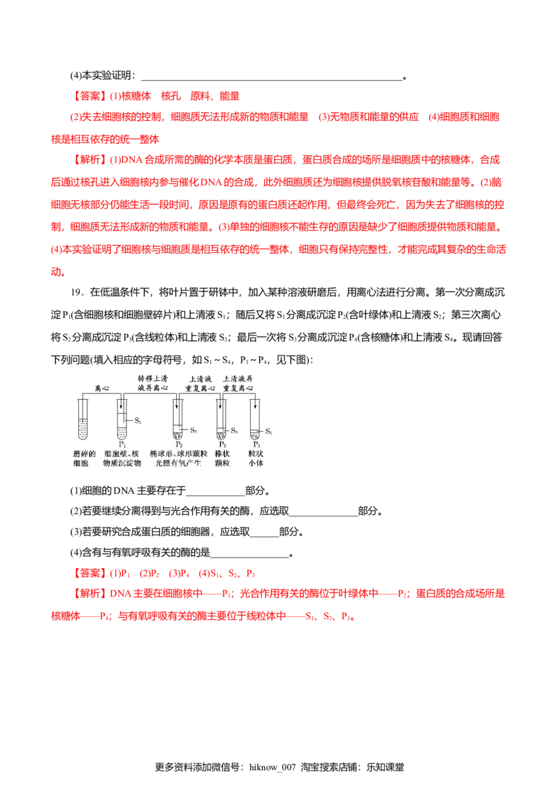 第03章细胞的基本结构（A卷）（解析版）_E015高中全科试卷_生物试题_必修1_1.单元测试_3.单元测试（第三套）_第03章细胞的基本结构（A卷）
