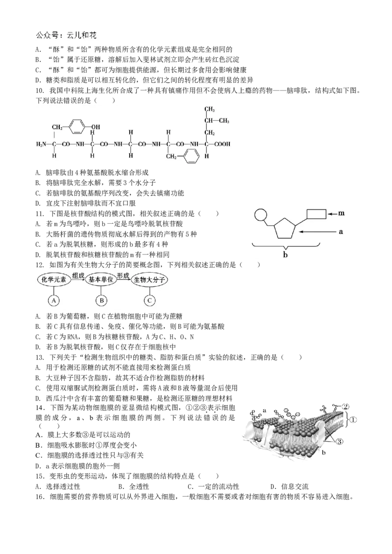 四川省内江市威远中学2024-2025学年高一上学期12月月考生物试题Word版含答案._2024-2025高一（7-7月题库）_2024年12月试卷_1211四川省内江市威远中学2024-2025学年高一上学期12月月考