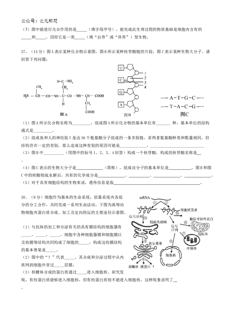 四川省内江市威远中学2024-2025学年高一上学期12月月考生物试题Word版含答案._2024-2025高一（7-7月题库）_2024年12月试卷_1211四川省内江市威远中学2024-2025学年高一上学期12月月考