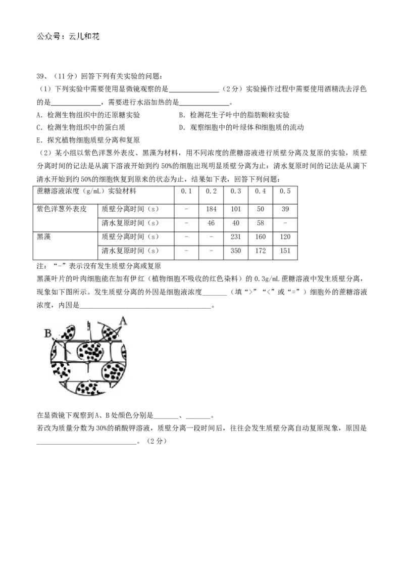 四川省内江市威远中学2024-2025学年高一上学期12月月考生物试题Word版含答案._2024-2025高一（7-7月题库）_2024年12月试卷_1211四川省内江市威远中学2024-2025学年高一上学期12月月考