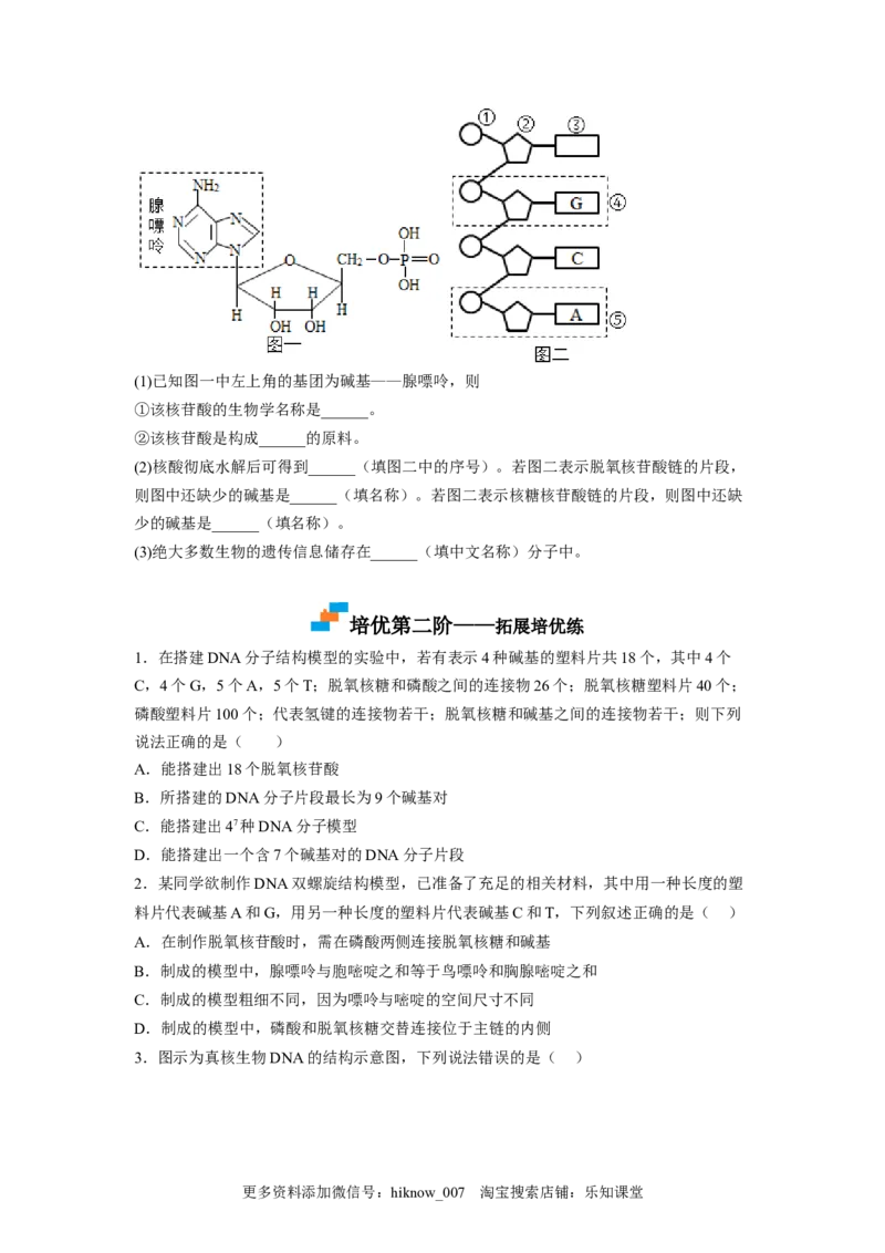 3.2DNA的结构（原卷版）_E015高中全科试卷_生物试题_必修2_2.同步练习_2、课后培优练2023_3.2+DNA的结构-2022-2023学年高一生物课后培优分级练（人教版2019必修2）